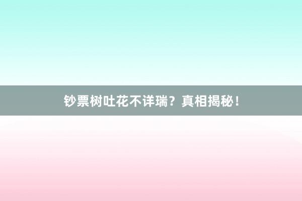钞票树吐花不详瑞？真相揭秘！