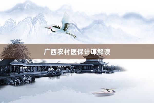 广西农村医保计谋解读