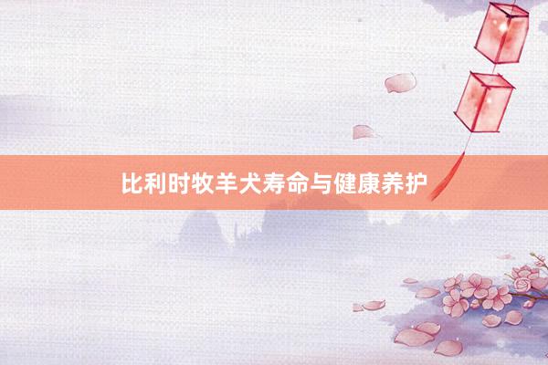 比利时牧羊犬寿命与健康养护